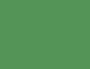 Pellicole adesive per vetri colorata Aslan CT 113-11385 Verde Ral 6024 in vendita online da Mybricoshop